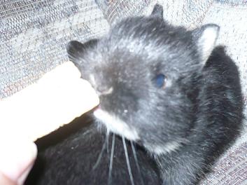 I think I'm being bribed