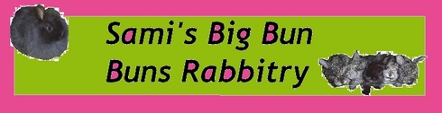 Lionhead, Mini Rex, Rex, Flemish Giants, Jersey Woolys, Mini Lops, 