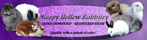 holland Lops, Mini Rex, Fuzzy Lops, French Lops