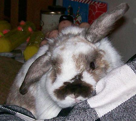 Hehe, aren't I cute?