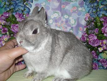 Yup! I'm Adorable