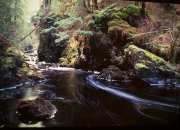 Creek