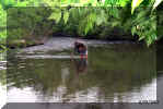 Frank & Brown Trout