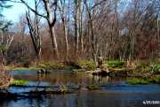 Frank on the Oswayo in early spring