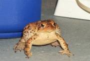 My basement buddy!