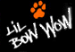 Lil' Bow Wow Song Lyrics Source