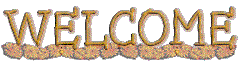 dryGround-wel.gif (6106 bytes)