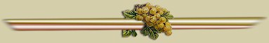 fruit-bar1.jpg (5424 bytes)