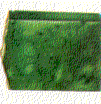 jade.gif (5457 bytes)