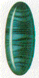malachite.gif (6549 bytes)