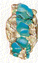 turquoise.gif (6160 bytes)