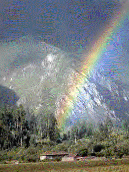 Rainbow