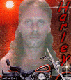 HarleybyStar4.gif (10790 bytes)