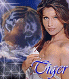 TigerByStar.gif (13166 bytes)
