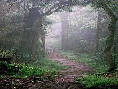 [WalkWithMe]