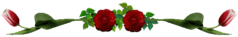 57redroserule1.gif (9211 bytes)