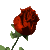 redrosesm.gif (6025 bytes)