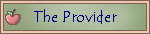 About the Provider