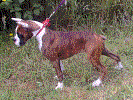 Copy of SW1.gif (79094 bytes)