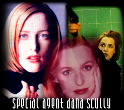 Special Agent Dana Scully