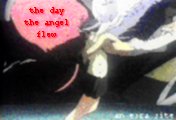 ..:: the day the angel flew::..