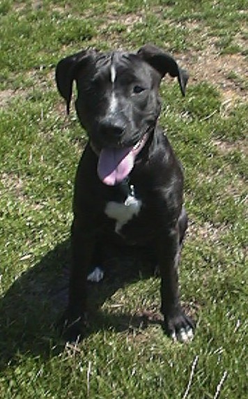 Roxy