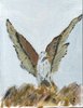 Aigle