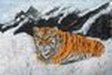 Tigre L.Leroy