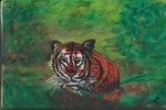 Tigre au bain