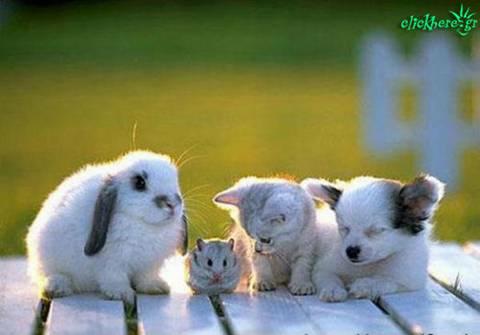 AWWWWWWW!!!!!!
