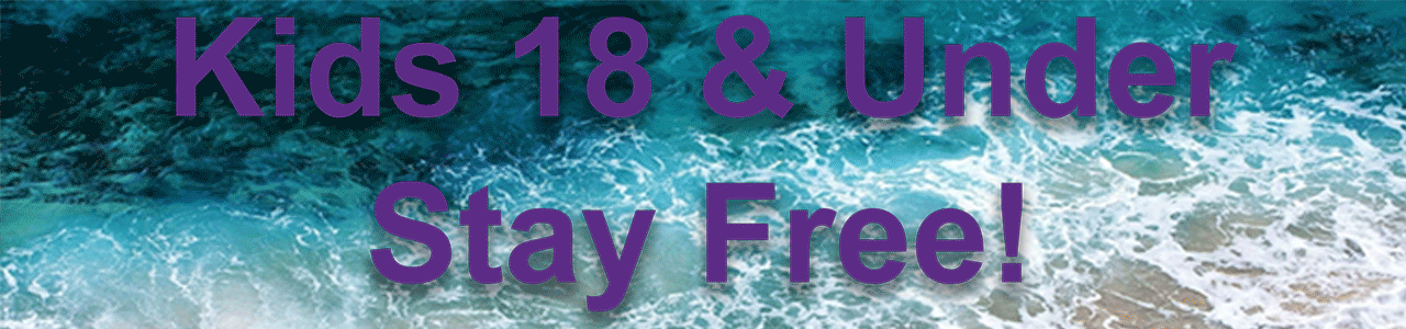 Web Banner GIF
