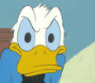 Donald Duck