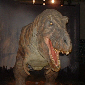 T Rex