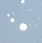 Snowy