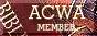 Association of Christian Web
Authors