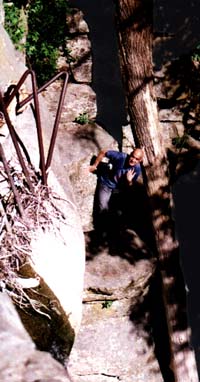 sea