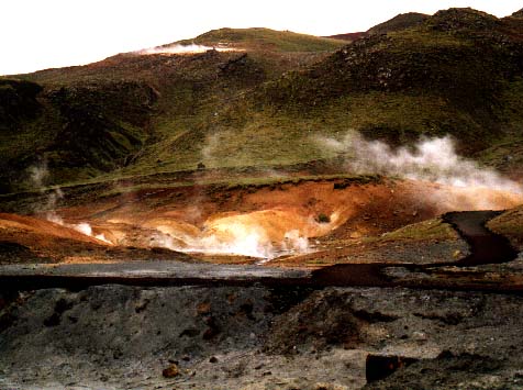 grindavik