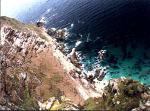 cape of good hope