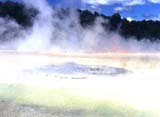 artist palette