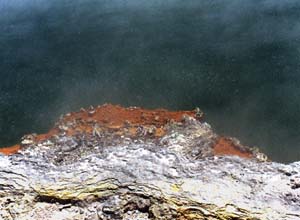 champagne pool