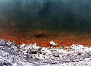 champagne pool