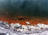 champagne pool