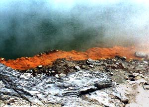 champagne pool