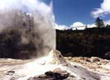 geyser