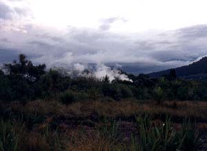 rotorua