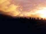 kiwi sunset