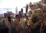 perth