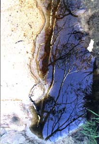 reflection