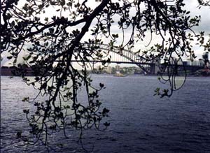 sydney