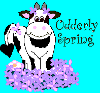 A pictue of a cow